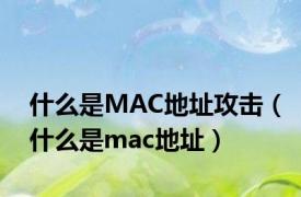 什么是MAC地址攻击（什么是mac地址）
