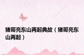 猪哥亮东山再起典故（猪哥亮东山再起）