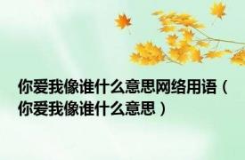 你爱我像谁什么意思网络用语（你爱我像谁什么意思）