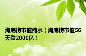 海底捞市值缩水（海底捞市值56天跌2000亿）
