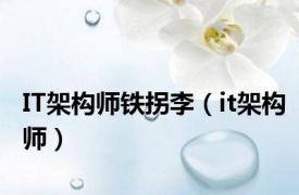 IT架构师铁拐李（it架构师）