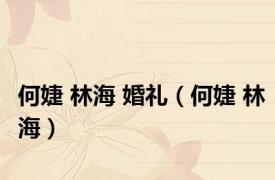 何婕 林海 婚礼（何婕 林海）