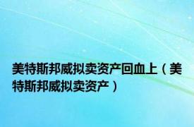 美特斯邦威拟卖资产回血上（美特斯邦威拟卖资产）