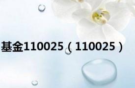 基金110025（110025）