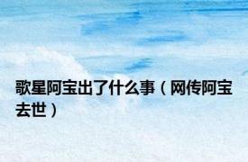歌星阿宝出了什么事（网传阿宝去世）