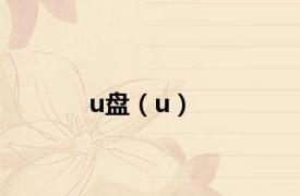 u盘（u）