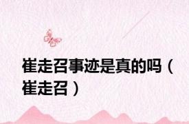 崔走召事迹是真的吗（崔走召）