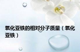 氧化亚铁的相对分子质量（氧化亚铁）