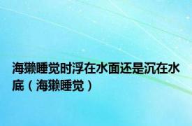 海獭睡觉时浮在水面还是沉在水底（海獭睡觉）