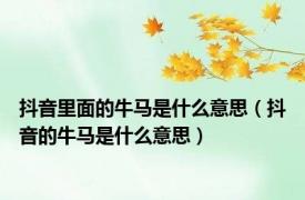 抖音里面的牛马是什么意思（抖音的牛马是什么意思）