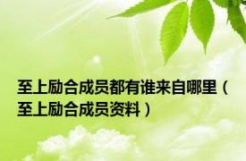 至上励合成员都有谁来自哪里（至上励合成员资料）