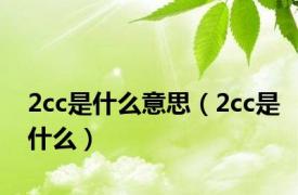 2cc是什么意思（2cc是什么）