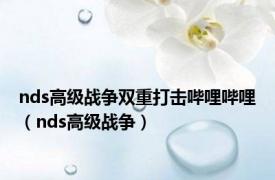 nds高级战争双重打击哔哩哔哩（nds高级战争）