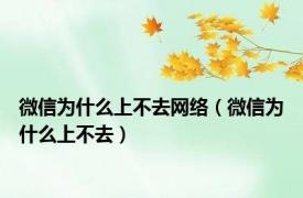 微信为什么上不去网络（微信为什么上不去）