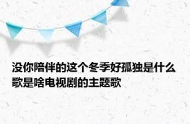 没你陪伴的这个冬季好孤独是什么歌是啥电视剧的主题歌