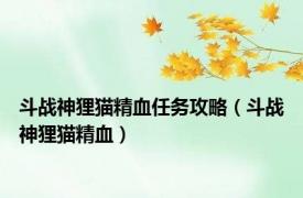 斗战神狸猫精血任务攻略（斗战神狸猫精血）