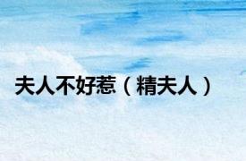 夫人不好惹（精夫人）