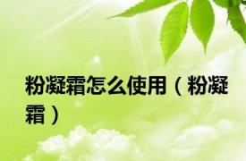 粉凝霜怎么使用（粉凝霜）