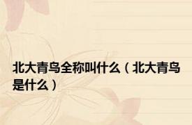 北大青鸟全称叫什么（北大青鸟是什么）