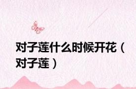 对子莲什么时候开花（对子莲）