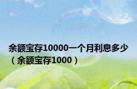 余额宝存10000一个月利息多少（余额宝存1000）