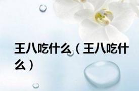 王八吃什么（王八吃什么）