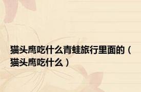 猫头鹰吃什么青蛙旅行里面的（猫头鹰吃什么）