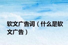软文广告词（什么是软文广告）