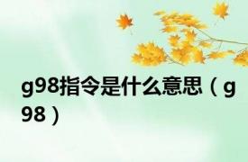 g98指令是什么意思（g98）