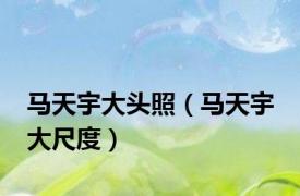 马天宇大头照（马天宇 大尺度）