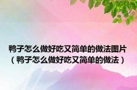 鸭子怎么做好吃又简单的做法图片（鸭子怎么做好吃又简单的做法）