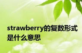 strawberry的复数形式是什么意思