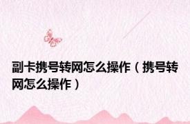 副卡携号转网怎么操作（携号转网怎么操作）