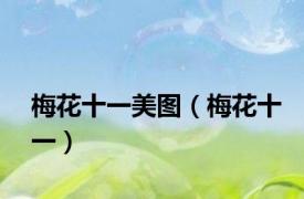 梅花十一美图（梅花十一）