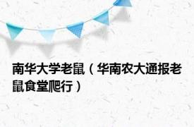 南华大学老鼠（华南农大通报老鼠食堂爬行）