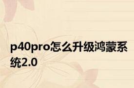 p40pro怎么升级鸿蒙系统2.0