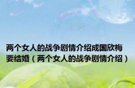 两个女人的战争剧情介绍成国欣梅要结婚（两个女人的战争剧情介绍）