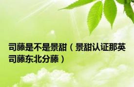 司藤是不是景甜（景甜认证那英司藤东北分藤）