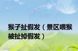 猴子扯假发（景区喂猴被扯掉假发）