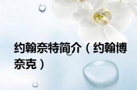 约翰奈特简介（约翰博奈克）