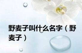 野麦子叫什么名字（野麦子）