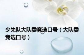 少先队大队委竞选口号（大队委竞选口号）