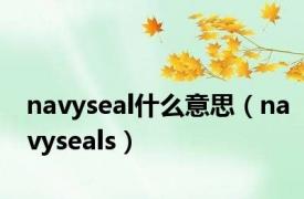navyseal什么意思（navyseals）
