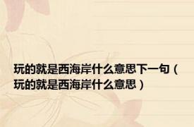 玩的就是西海岸什么意思下一句（玩的就是西海岸什么意思）