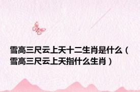 雪高三尺云上天十二生肖是什么（雪高三尺云上天指什么生肖）