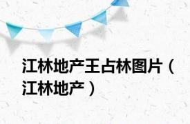 江林地产王占林图片（江林地产）