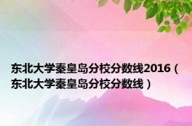 东北大学秦皇岛分校分数线2016（东北大学秦皇岛分校分数线）
