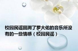 校园民谣回溯了罗大佑的音乐所没有的一些情感（校园民谣）