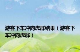 游客下车冲向虎群结果（游客下车冲向虎群）