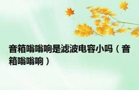 音箱嗡嗡响是滤波电容小吗（音箱嗡嗡响）